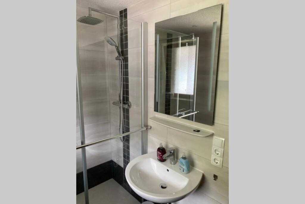 Gemuetliche Ferienwohnung In Sankt Blasien Exterior foto