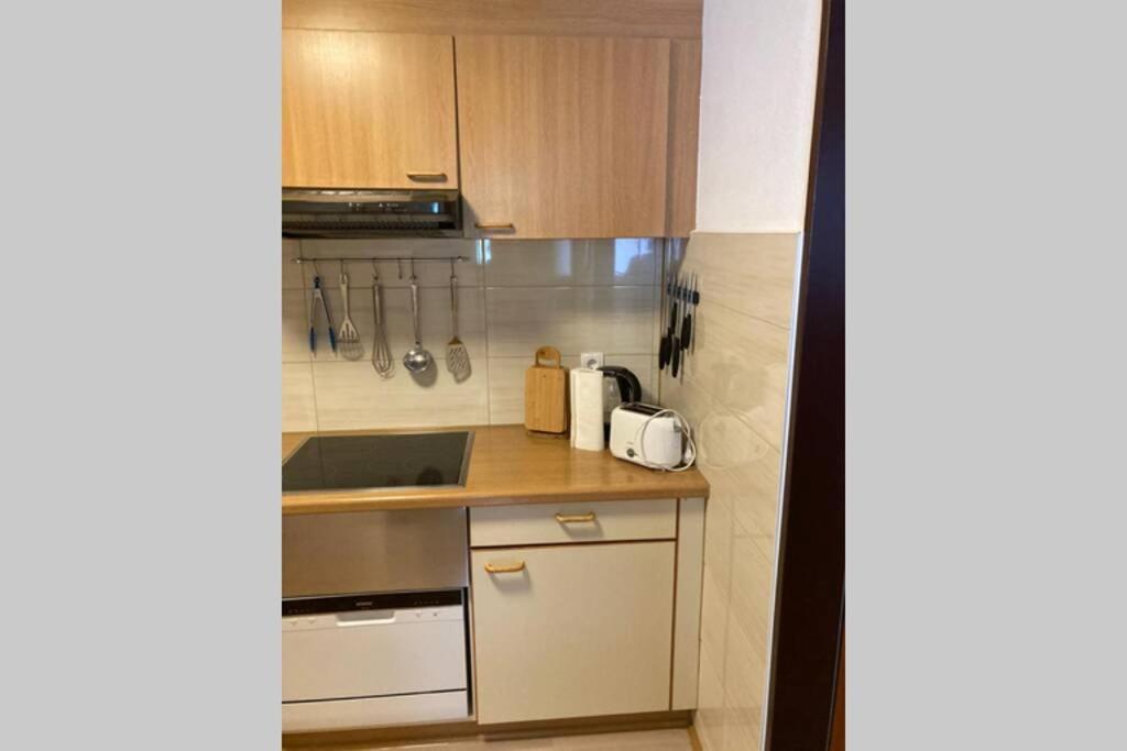 Gemuetliche Ferienwohnung In Sankt Blasien Exterior foto