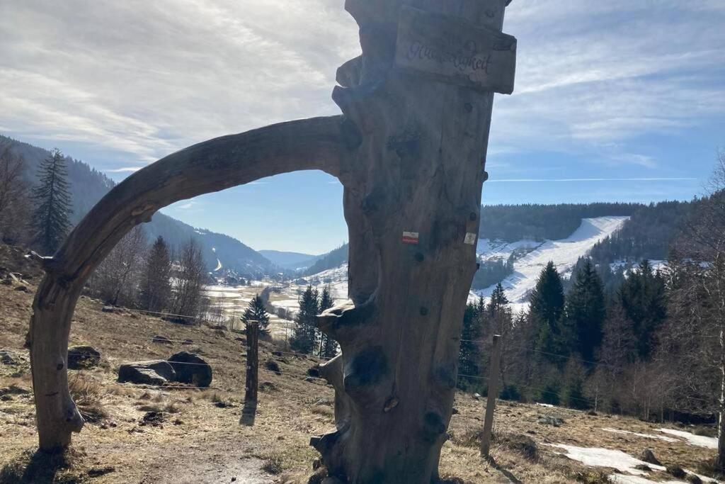 Gemuetliche Ferienwohnung In Sankt Blasien Exterior foto