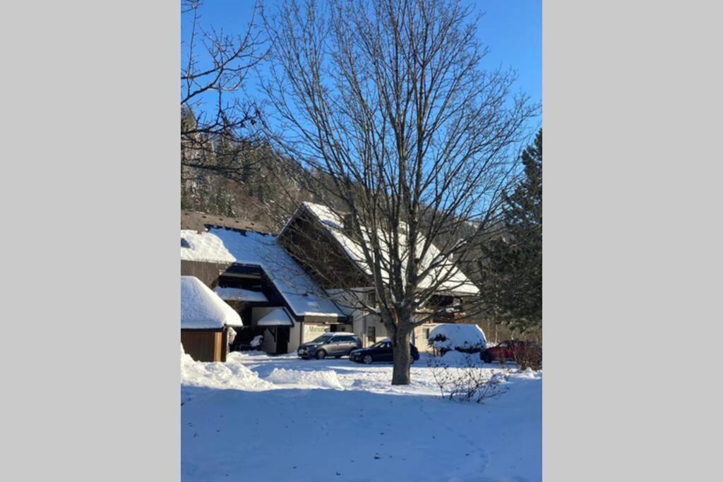 Gemuetliche Ferienwohnung In Sankt Blasien Exterior foto