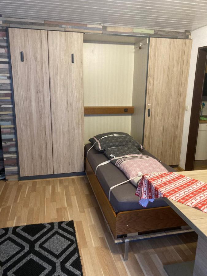 Gemuetliche Ferienwohnung In Sankt Blasien Exterior foto