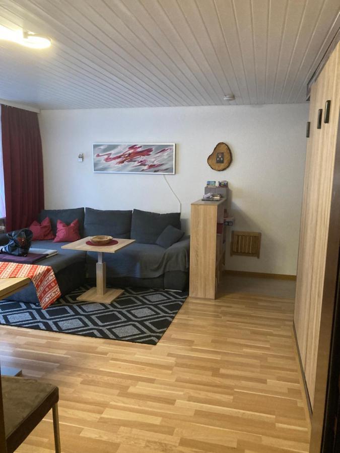 Gemuetliche Ferienwohnung In Sankt Blasien Exterior foto